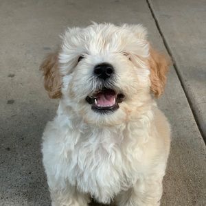 Meet your Posher, Claudia